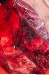 Photo Textures of RAW Pork Meat